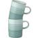 Denby Kiln Mug Set of 2 Mugs Mug