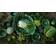 Byon Veggie L Green Serving Bowl