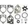 Sierra Impeller Kit