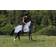 Bucas Buzz off Fly- and Riding Rug Silver/Blue 00L unisex