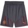 Puma Manchester City Trainingshorts Dunkelgrau