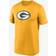 NIKE Green Bay Packers Logo Essential Legend Performance T-Shirt