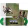 Days are Gone 10TH Anniversary,2LP Green (Vinyl)