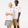 Lacoste Regular Fit T-shirt blandad, Vitt och blått