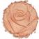 Physicians Formula Rosé All Day Petal Glow Petal Pink