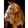 Horseware Rambo Micklem Diamante Competition Trense Black 00C-x-00F unisex