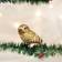 Old World Christmas Pygmy Owl Christmas Tree Ornament 30.5cm