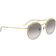 Ray-Ban Round Double Bridge RB3647N 923632