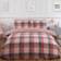 Dreamscene Teddy Duvet Cover Pink, Grey (198x198cm)