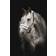 Källquist Equestrian Halter Horse Unique - Sort/Grå
