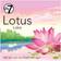 W7 Boxed Blush Lotus Lake Blusher