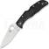 Spyderco Endela Lockback Pocket knife