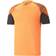 Puma Herren Fantrikot individualCUP Training Jersey