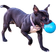 Jolly Pets Soccer Ball 8"