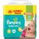 Pampers Baby-Dry Size 6 13-18kg 124pcs