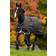 Horseware Amigo Bravo 12 Turnout Rug - Navy/Turquoise