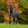 Horseware Amigo Bravo 12 - Brun