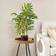 Homcom Bamboo Tree in Pot Green Artificial Plant