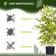 Homcom Bamboo Tree in Pot Green Artificial Plant