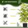 Homcom Potted Bamboo Tree Planta Artificial