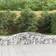 vidaXL 40/60 cm/ 7 Arched Gabion Basket Stone Basket Gabion