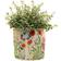 Iona Buchanan Meadow Eco Pots 23L Cream