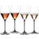Riedel Rosé Set 5515/55 Vinglas 4stk