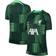 Nike Liverpool Academy Pro Pre Match Top Green Kids