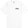 Dickies Aitkin T-Shirt Herren weiß