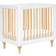 Babyletto Lolly 4-in-1 Convertible Mini Crib 25.5x38.8"