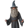 Rubies The Hobbit Mens Gandalf Costume