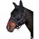 Horse Guard Insektsmask Horseguard Anti-UV Svart