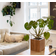 Squarely Copenhagen SQUARELY CPH GrowON Plantekasse Krukke