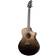 Breedlove Artista Pro Concert CE