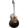 Breedlove Artista Pro Concert CE