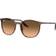 Ray-Ban Unisex Rb2204 Striped Brown Frame