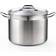 Cooks Standard Professional with lid 4.99 gal 12.6 "