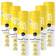 8x4 anti-perspirant splashy citrus nÂ°16 48h protection 150ml