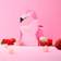 Wally and Whiz Pink Flamingo med Litchi med Hindbær 140g