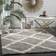 Safavieh Dallas Shag Grey, Beige 91x152cm