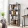 Vasagle 4-Tier Bogreol 154.5cm