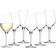 Stölzle Lausitz Exquisit Series Hvidvinsglas 35cl 6stk