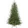 Dellonda Pre-Lit Green Julgran 213cm