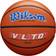 Wilson Evolution Game Basketball