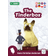 The Tinderbox