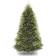 National Tree Company Dunhill Fir Green Julgran 108cm