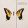 Paramore - brand new eyes (Vinilo)