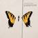 Paramore - brand new eyes