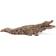 Schleich WILD LIFE Crocodile 14736