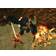 He-Man : Masters Of The Universe (PS2)